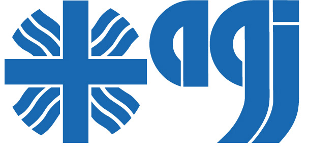 AGJ Fachverband, AGJ Schulung
